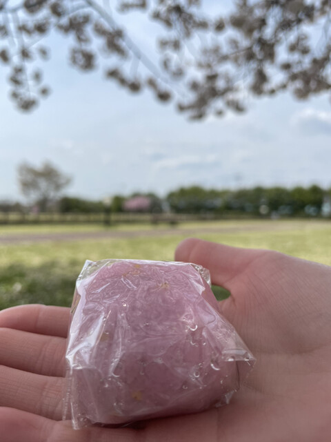 御菓子司 かぎや - 鏡石（和菓子）の写真