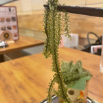 沖縄酒場ハイサイ - 