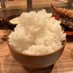 米とデミグラス - 