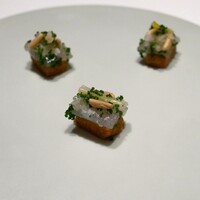 カンテサンス - 