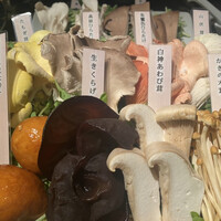 Shangri-La's secret ROPPONGI - 