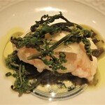 センティウ - 草履海老　フェンネル　ワラビ　ディル