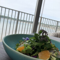 THE HARBOR TERRACE Restaurant - 