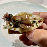 saveur - ホタルイカと白魚