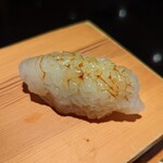 鮨し人 - アオリイカ