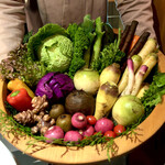 レフェルヴェソンス - 