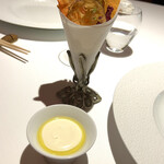 レフェルヴェソンス - 