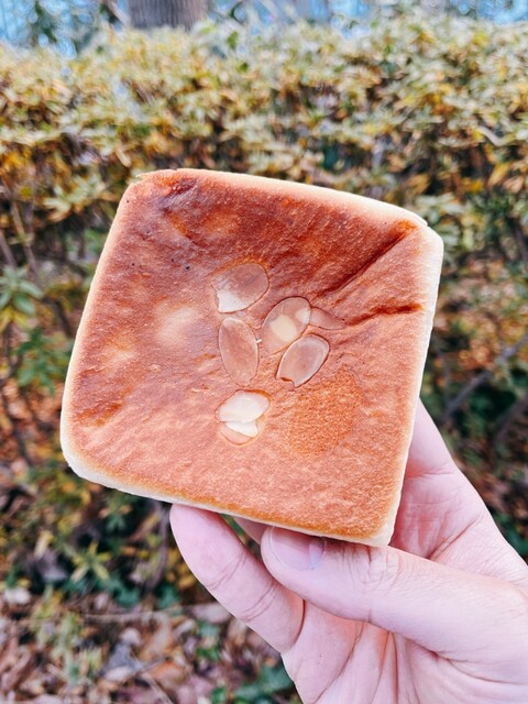 LITTLE MERMAID Toyomachiekimaeten photo 5