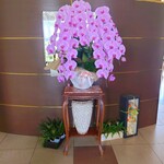 鉄板フレンチ キャトル・セゾン MORI - 