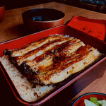 Unagi Irokawa - 