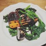 ブラチェリア カクタス - 