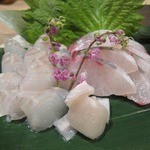 酒肴一献 わさびん - （わさびんコース）