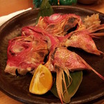 辰美寿し - キンキのかま２０１３，２