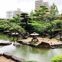 日本料理　雲海 - 