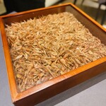 プレゼンテ スギ - 筋海老