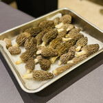 プレゼンテ スギ - 編笠茸