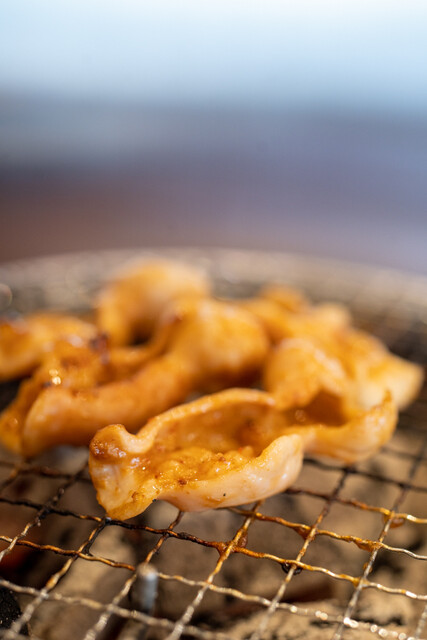 Taishu Sumibi Horumo Hitosuji Mokumoku. Hon Ten photo 2