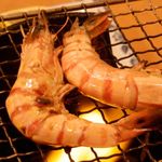 ホテル南海荘 - 2013/02　夕食（車海老）