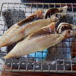 ホテル南海荘 - 2013/02　朝食（アジの干物）　これ無くしては語れない！