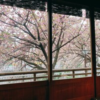 焼鶏あきら 中目黒本店 - 