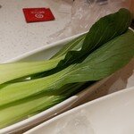 海底撈火鍋 - チンゲン菜のアップ