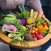 レフェルヴェソンス - 