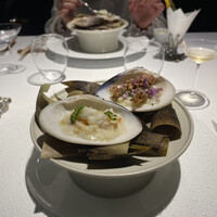 レフェルヴェソンス - 