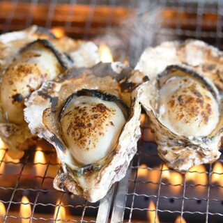 ★ Hot Oyster at the store!