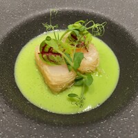 Yoichi LOOP - 根室帆立のカダイフ うすいえんどうと昆布〆のソース