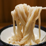 Nihombashi Sanuki Udon Hoshino - 