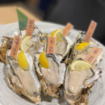 日本酒と牡蠣...時々おでんBACHIYA - 