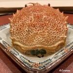 御料理 寺沢 - 毛蟹 甲羅