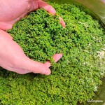 御料理 寺沢 - 花山椒