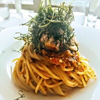 サーラ アマービレ - 