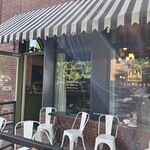 Tempered Fine Chocolates - 