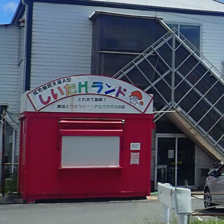 しいたけランド_2