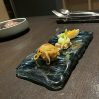 SIO syuji hijikuro - 