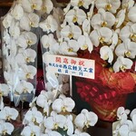 焼鳥 ホルモン おすみ - 開店祝い