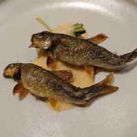 室町 和久傳 - 琵琶湖の稚鮎