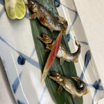 おおさか料理  浅井 - 