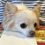 Karuizawa Hotel Soyokaze