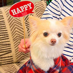 Karuizawa Hotel Soyokaze