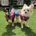 軽井沢ホテルそよかぜ - 