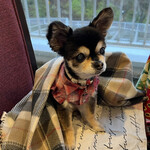 Karuizawa Hotel Soyokaze