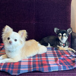 Karuizawa Hotel Soyokaze