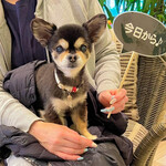 Karuizawa Hotel Soyokaze