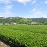 伊勢宮川の里 鄙茅 - 