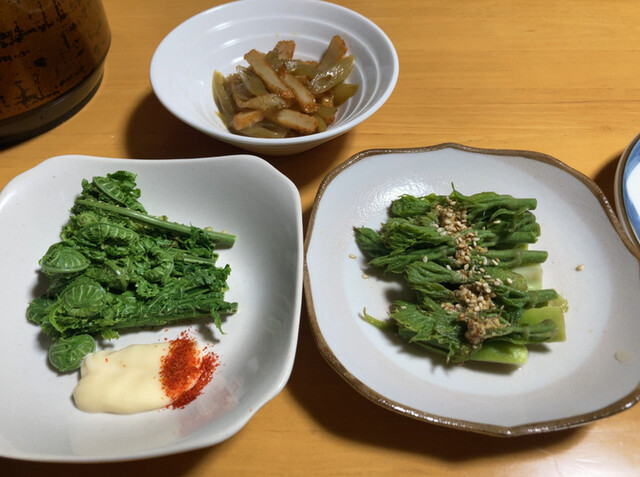 鳳温泉　せきれい荘 - 小岩井（旅館・民宿）の写真
