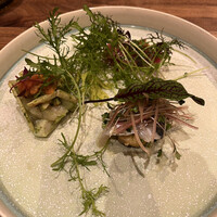 Selvaggio - 