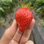 姫路ハートフル観光農園 - 